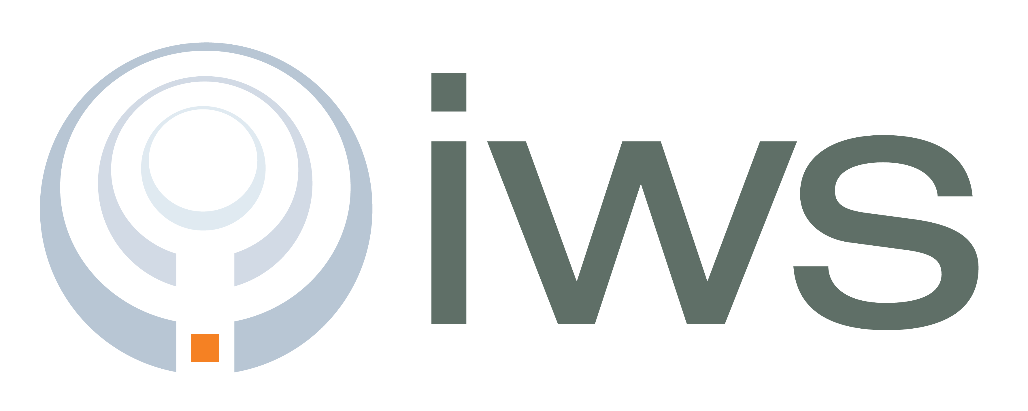 Own company. Фирма IWS. IWS sales логотип. IWS надпись картинка. IWS Globe.